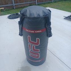 UFC punching bag