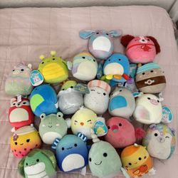 Lot Of 22 Squishmallow Plush 