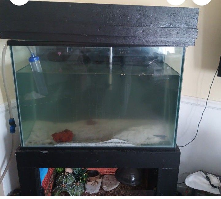 60 Gallon Tank And Stand