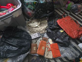 Purse lot