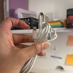 (2m) Apple charger 