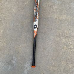 softball bat