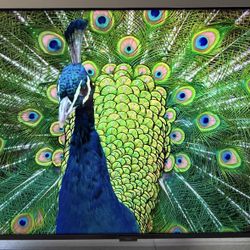 TCL Roku 65” - 4K