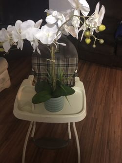 Orchid flower vase