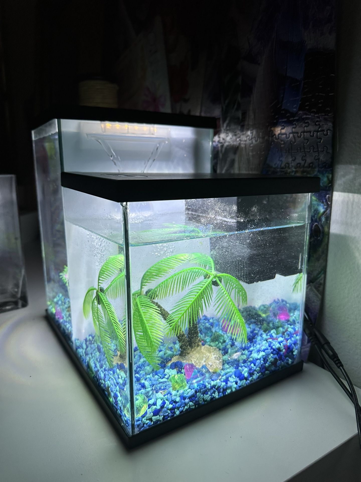 Aquarium