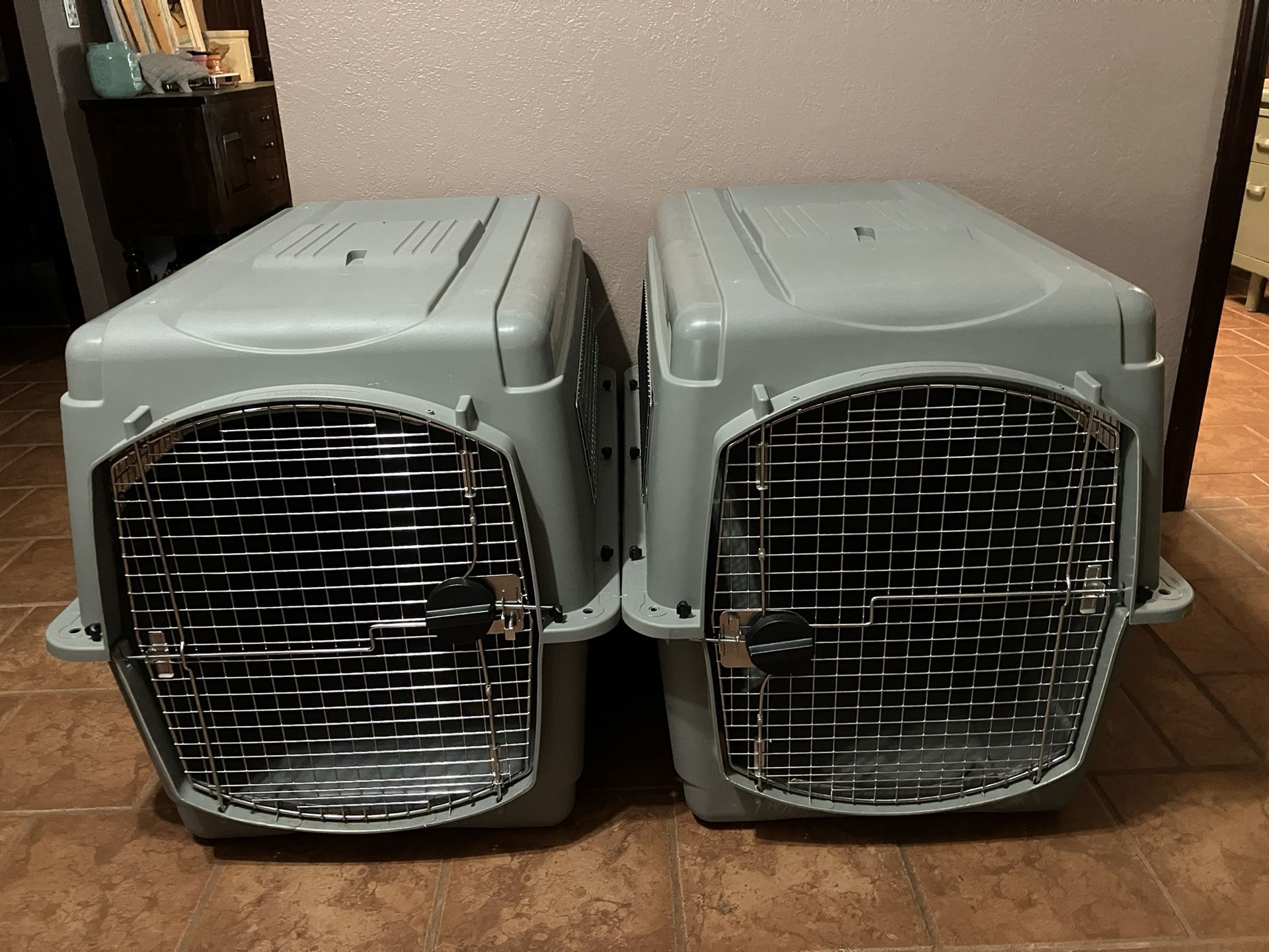 2 Petmate Sky Kennel Dog Crates