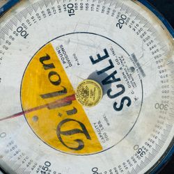 Dillon & Co. mechanical hanging crane scale with a 500 lb