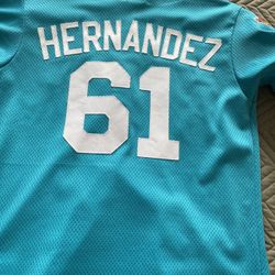 Vintage jerseys UM, Marlins, Dolphins