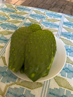 Tres Nopales