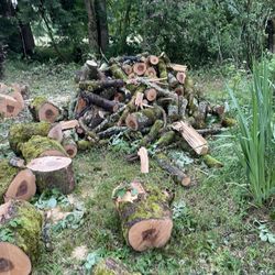 Ash Firewood 