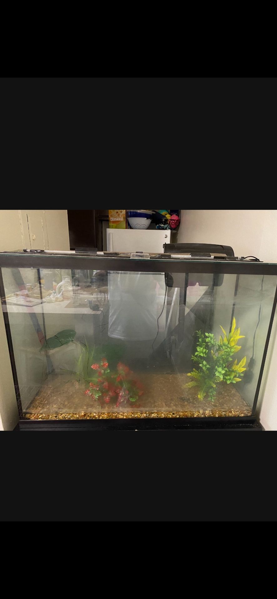 Fish Tank