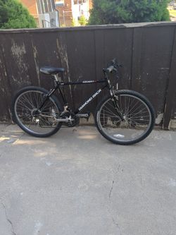 1995 Diamondback Ascent