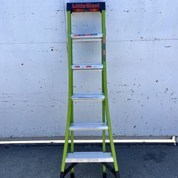 Ladder little giant