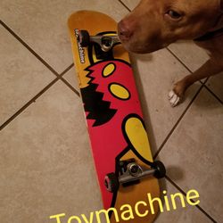 Toymachine Skateboarder