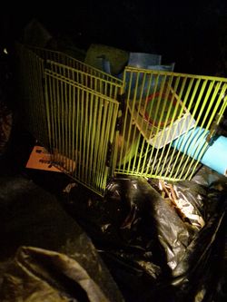 Hamster  🐹   Combo. Set