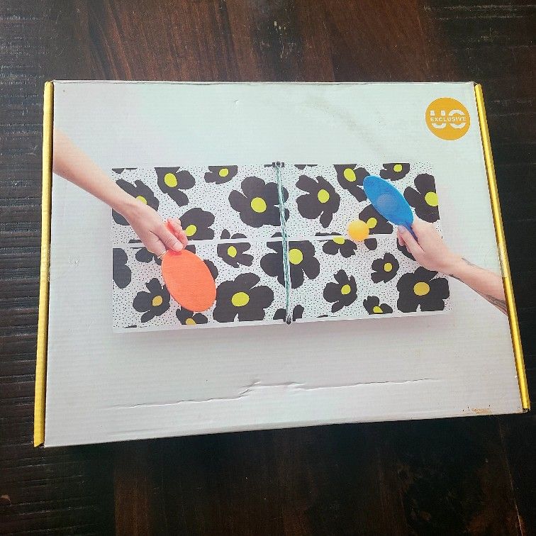 mini ping pong table