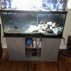 Fish Tank 