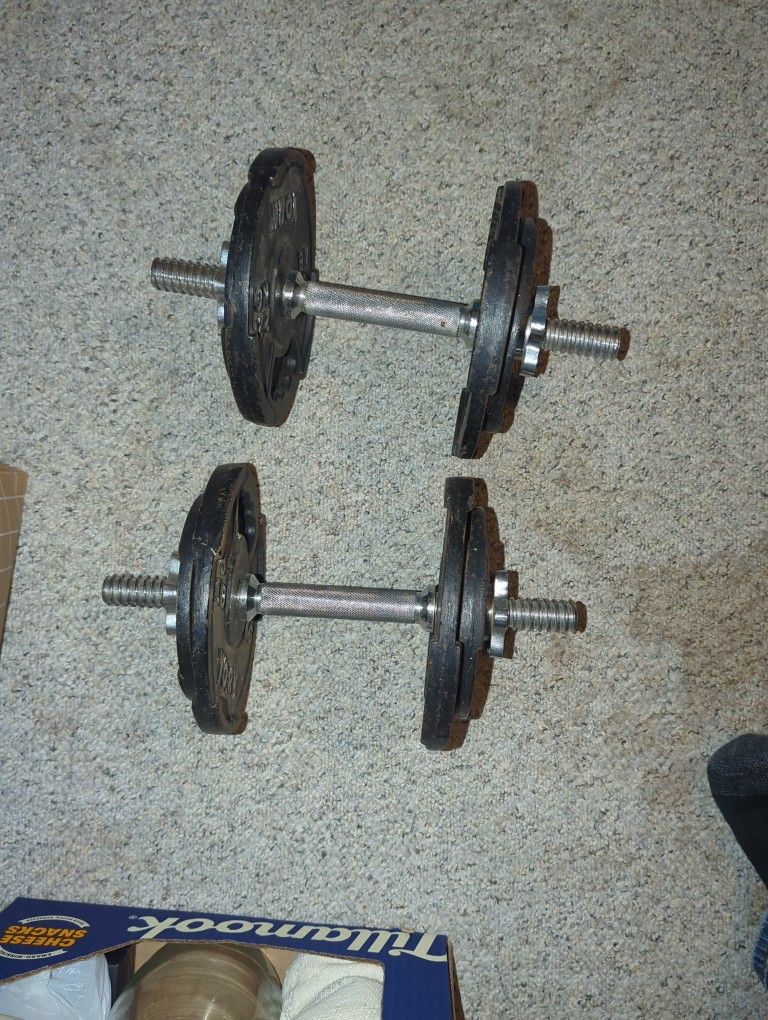 Dumbbell Set