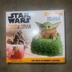 baby yoda chia pet