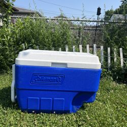 Cooler