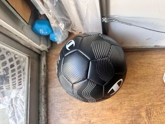 Champion soccer ball