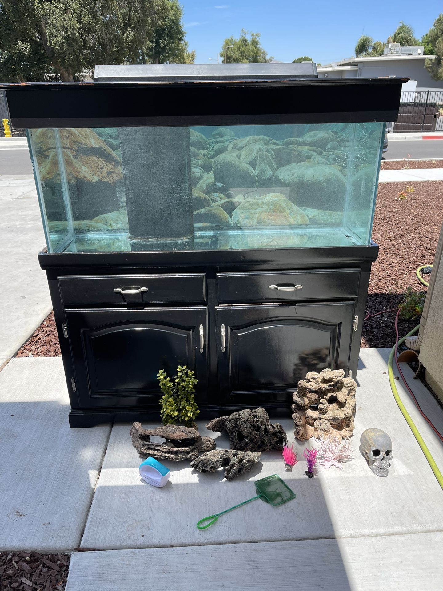 Fish Tank Aquarium