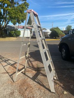 Werner 6 ft. Aluminum step ladder