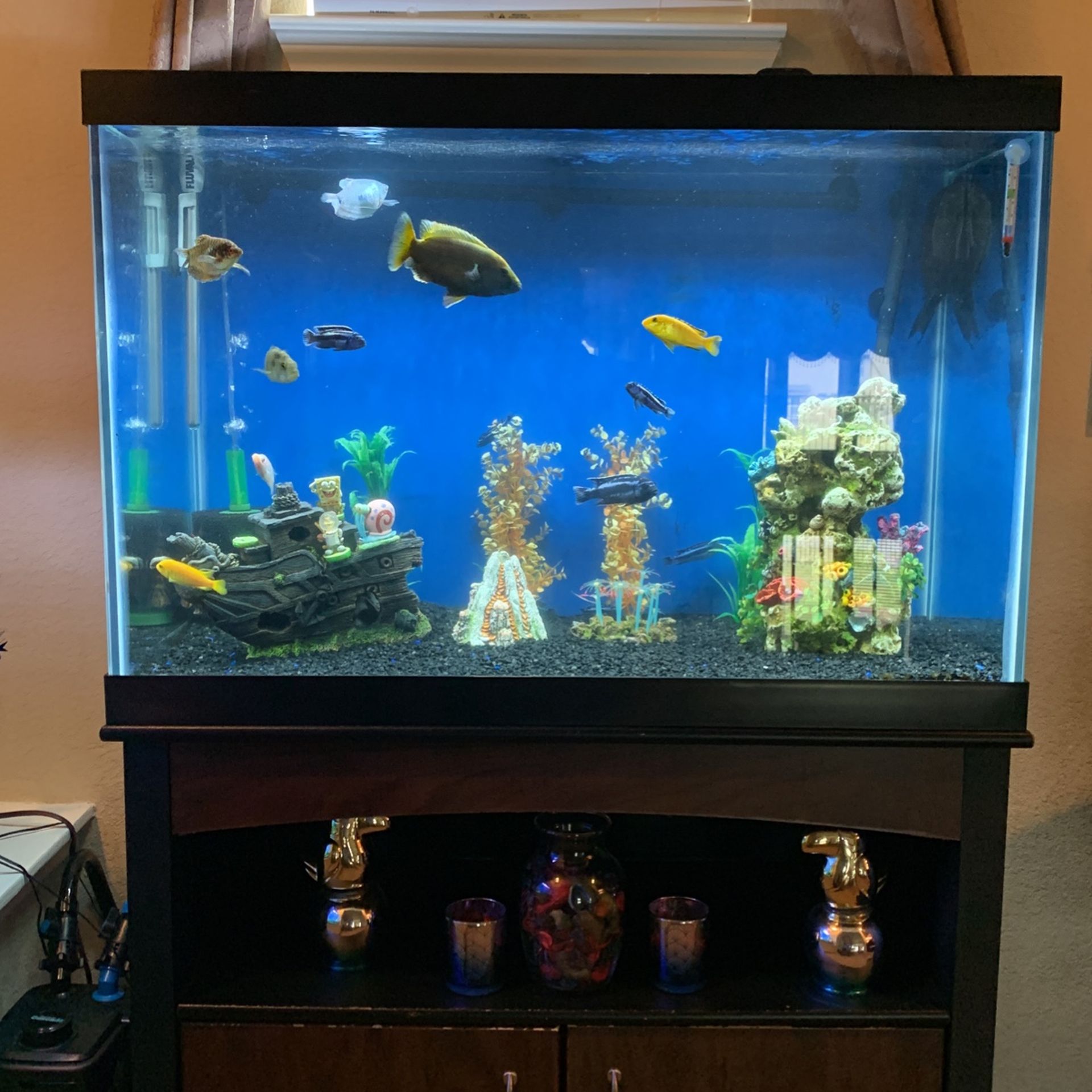 65 Gallon Aquarium Made By Aqueon