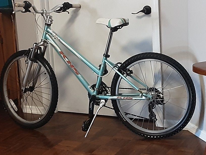 Like New 24 Mountain Bike High End Speed