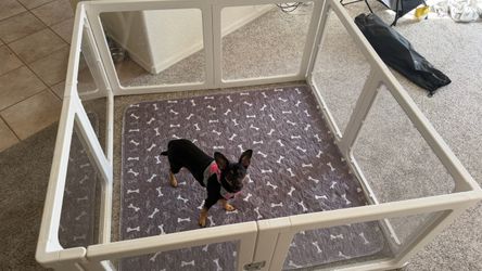 Clear Acrylic Dog Playpen with Door, White, 8 Panels