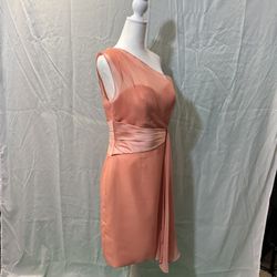 Da Vinci Peach dress