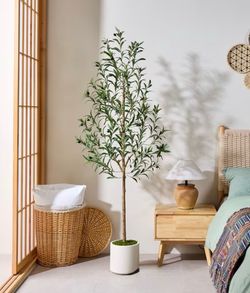 Realistic 6' Olive Tree with Vibrant Colors and True to Life Texture Details in White Planter.