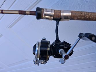 Fishing Pole and reel
