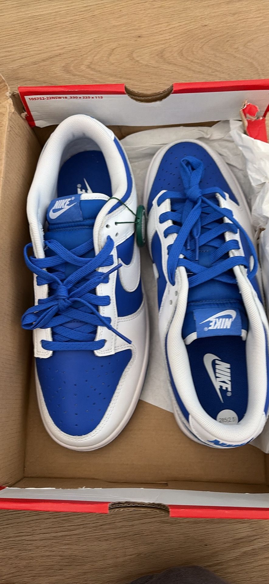 Nike Dunk Retro Mens 10.5