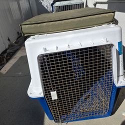 Extra Large Airline Approved Kennel 