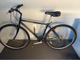 Specialized Crossroads Cruz