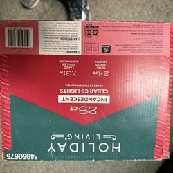 Crismas Glass Lights 