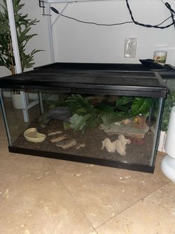 2 Glass Reptile Terrariums with Accessories