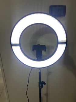 12” Folding Ring Light