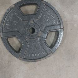 25lb STANDARD PLATE