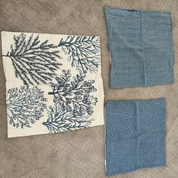 PotteryBarn Pillow Cases
