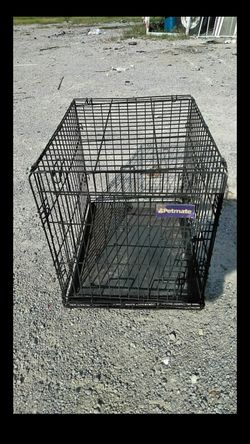 Pet cage