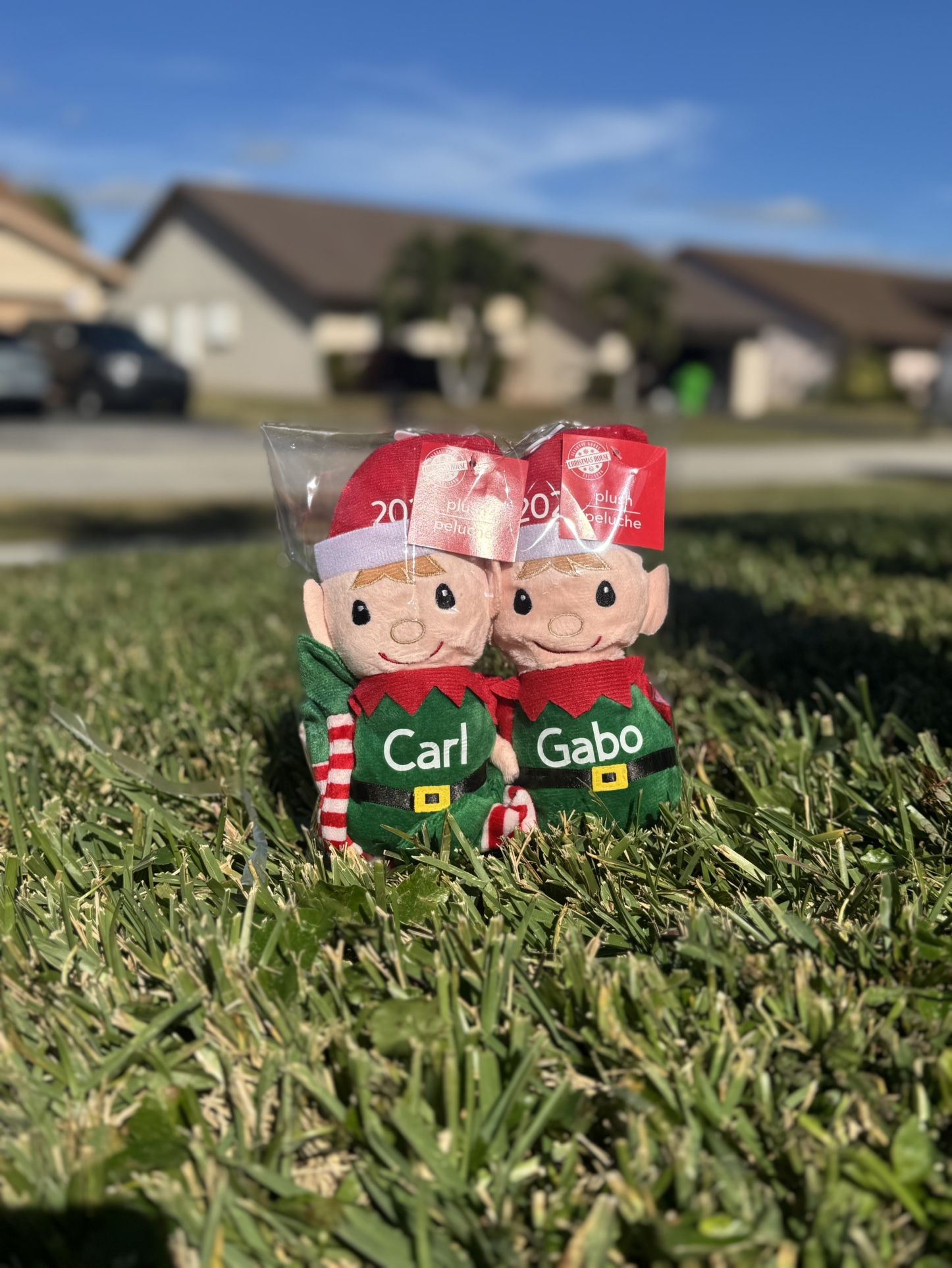 Elf With Your Name