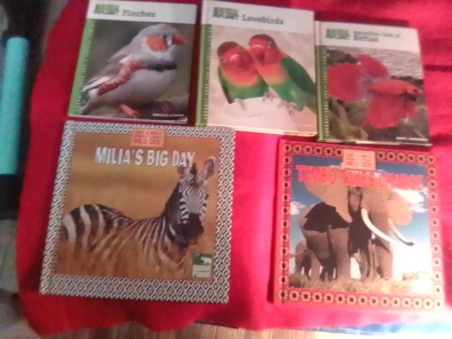 Children's Books Gifts For Christmas