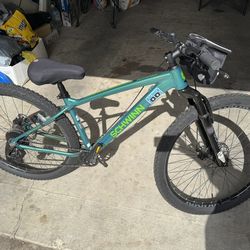 Schwinn Bike