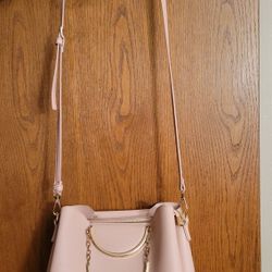 Forever 21 Light Pink Crossbody Bag with Gold Accents