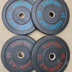 45lb and 55lb $1 A Pound Bumper Weight Plates