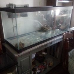 Very Nice 75 Gallon Aquarium With A Stand And Filter