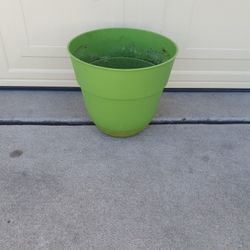 Flower pot