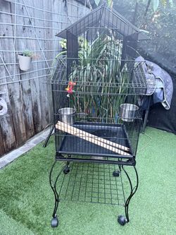Large size bird cage
